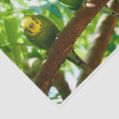 Kleurrijke Groene Budgies op een Boomtak Tissuepapier (Detail)