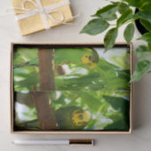 Kleurrijke Groene Budgies op een Boomtak Tissuepapier (Geschenk)