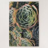 kleurrijke groene Echeveria Imbricata Succulent Legpuzzel (Verticaal)