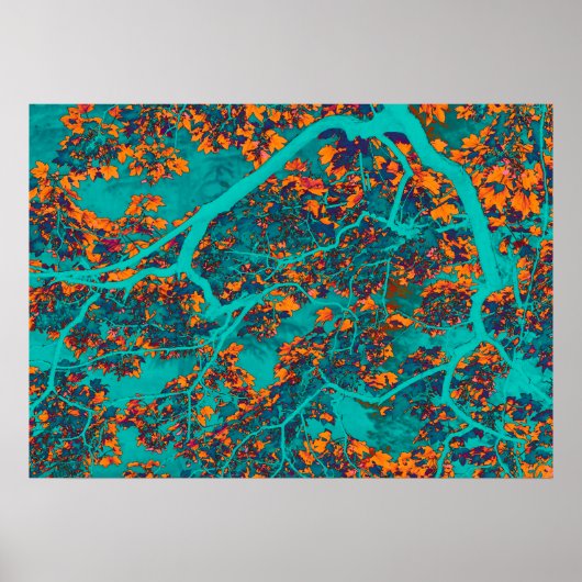 Kleurrijke groene en oranje bomen poster (Voorkant)
