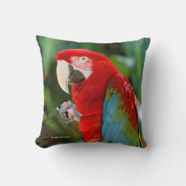  kleurrijke groene Macaw Parrot Bird Kussen