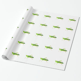 Kleurrijke groene sprinkhaan cadeaupapier