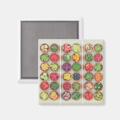 Kleurrijke groenten en fruit magneet (Voorkant / Achterkant)
