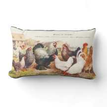 Kleurrijke groep kippen op de uitwerpkussen