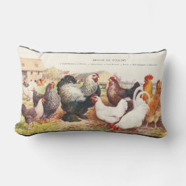 Kleurrijke  groep kippen op de uitwerpkussen kussen