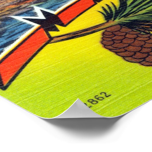  kleurrijke groeten van Maine Travel Poster (Hoek)