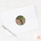 kleurrijke hagedis ronde sticker (Envelop)