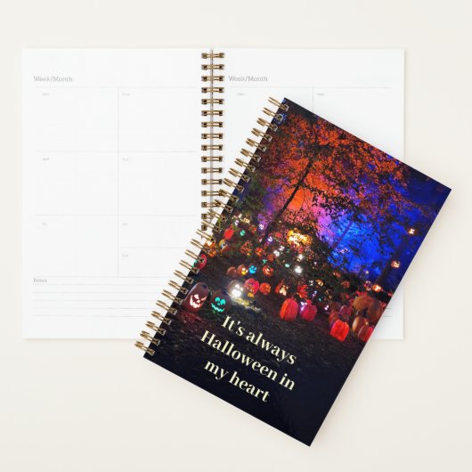 Kleurrijke Halloween Pompoenen Planner (Display)