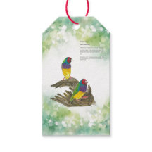 Kleurrijke handbeschilderde Gouldiaanse vink