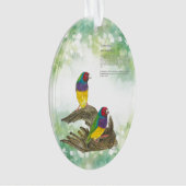 Kleurrijke handgeschilderde bedreigde Gouldiaanse  Ornament (voorkant)