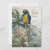 Kleurrijke handgeschilderde blauwkeelara bedankkaart (Voorkant)