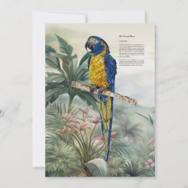 Kleurrijke handgeschilderde blauwkeelara bedankkaart