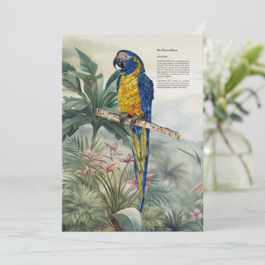 Kleurrijke handgeschilderde blauwkeelara bedankkaart (Staand voorkant)