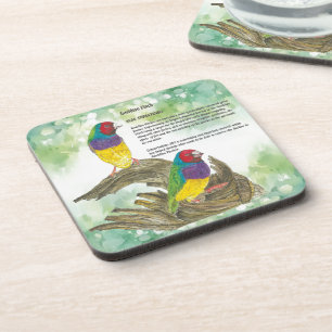 Kleurrijke handgeschilderde Gouldian Finch Birds Bier Onderzetter
