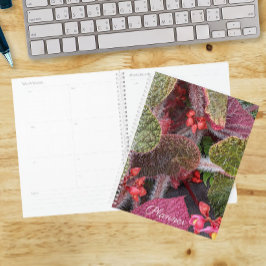 Kleurrijke Harige Begonia Bloem Planner
