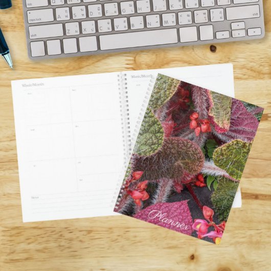 Kleurrijke Harige Begonia Bloem Planner