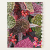 Kleurrijke Harige Begonia Bloem Planner (Achterkant)