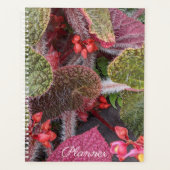Kleurrijke Harige Begonia Bloem Planner (Voorkant)