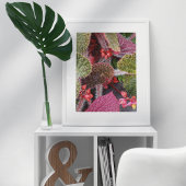 Kleurrijke Harige Begonia Bloem Poster