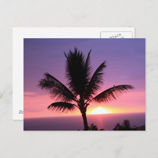 Kleurrijke Hawaïaanse Zonsondergang en Palm Briefk Briefkaart (Voorkant / Achterkant)