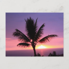 Kleurrijke Hawaïaanse Zonsondergang en Palm Briefk Briefkaart