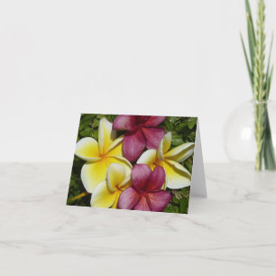 Kleurrijke Hawaiiaanse Plumerias Gevouwen Wenskaar Kaart
