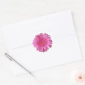 Kleurrijke Helder Roze Gerber Daisy Sticker (Envelop)