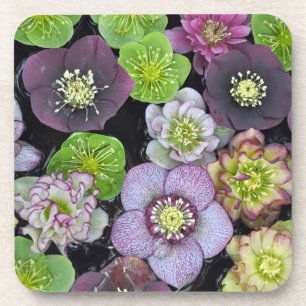 Kleurrijke hellebore bloemen bier onderzetter