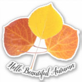 Kleurrijke Herfst Aspen Leaf-foto's - Aangepast Sticker (Voorkant)