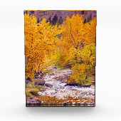 Kleurrijke herfst Aspens in Colorado Fotoblokken (Voorkant)