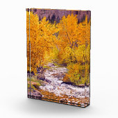 Kleurrijke herfst Aspens in Colorado Fotoblokken (Rechts)