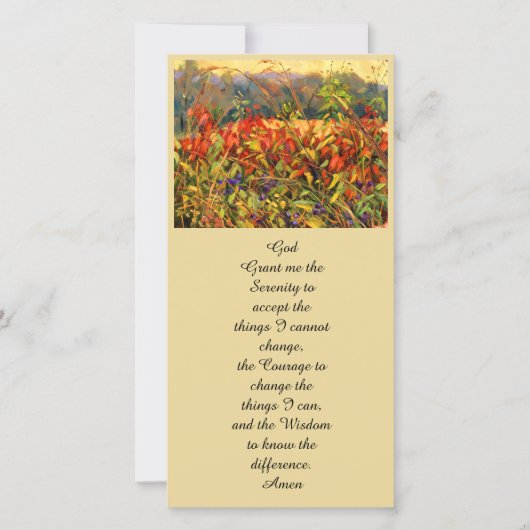 Kleurrijke herfst Asters & Sumac Reds en Blues (Voorkant)