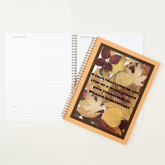 Kleurrijke herfst bladeren collage dankbaar citaat planner (Display)