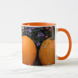 Kleurrijke herfst decoratieve pompoen display mok