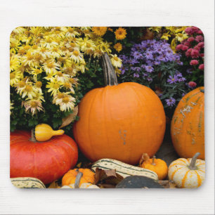 Kleurrijke herfst decoratieve pompoen display muismat
