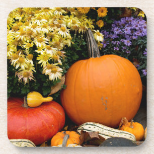 Kleurrijke herfst decoratieve pompoen display onderzetter