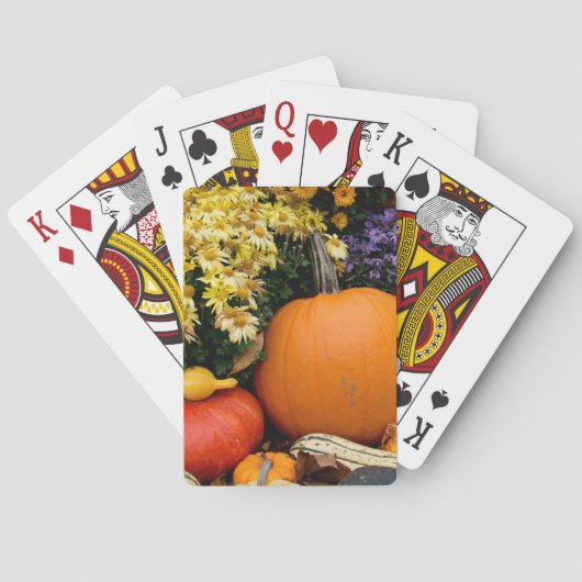Kleurrijke herfst decoratieve pompoen display speelkaarten (Achterkant)