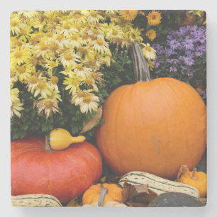 Kleurrijke herfst decoratieve pompoen display stenen onderzetter