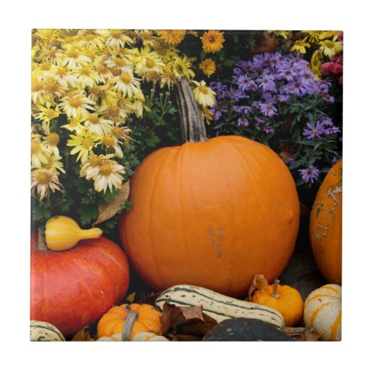 Kleurrijke herfst decoratieve pompoen display tegeltje (Voorkant)