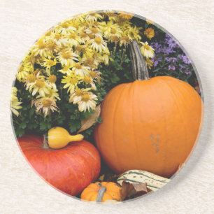 Kleurrijke herfst decoratieve pompoen display zandsteen onderzetter