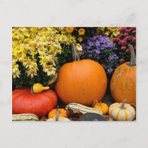 Kleurrijke herfst decoratieve pompoen tentoonstell briefkaart