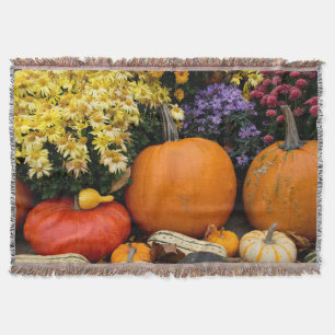 Kleurrijke herfst decoratieve pompoen tentoonstell deken