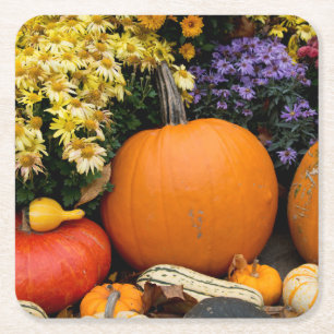 Kleurrijke herfst decoratieve pompoen tentoonstell kartonnen onderzetters