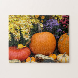 Kleurrijke herfst decoratieve pompoen tentoonstell legpuzzel