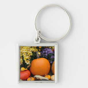 Kleurrijke herfst decoratieve pompoen tentoonstell sleutelhanger
