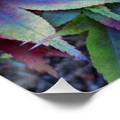 Kleurrijke herfst esdoorn bladeren perfect poster (Hoek)