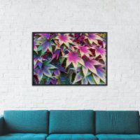 Kleurrijke herfst esdoorn bladeren