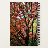 Kleurrijke herfst esdoorn boom notitieboek (Achterkant)