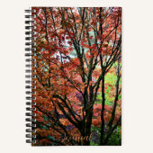 Kleurrijke herfst esdoorn boom notitieboek (Voorkant)