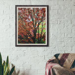 Kleurrijke herfst esdoorn boombladeren poster